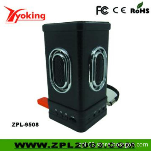 Outdoor Speaker Box with USB Input (ZPL-9508)